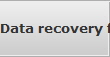 Data recovery for Brooklyn Park data