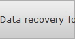 Data recovery for Brooklyn Park data